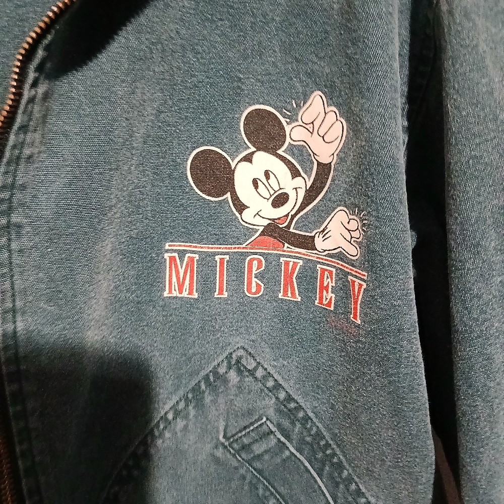 Genus Vintage Green Mickey Mouse Jacket. Size Large - Picture 5 of 9